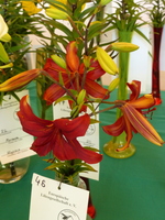 Foto: Dr. Peter Müller